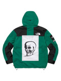 Supreme x The North Face mountain jacket