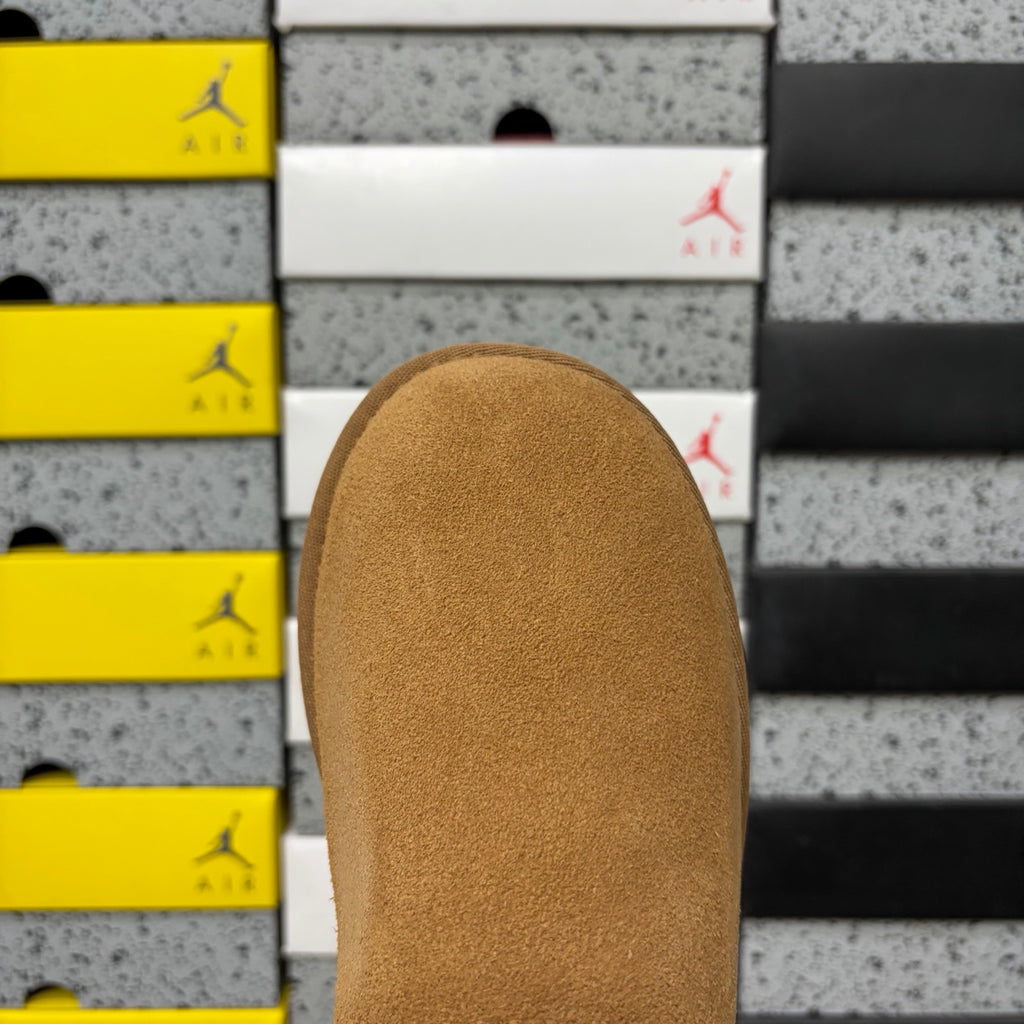 UGG Chestnut Platform Mini Boots | 5 cm Sole